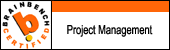 Project Manager